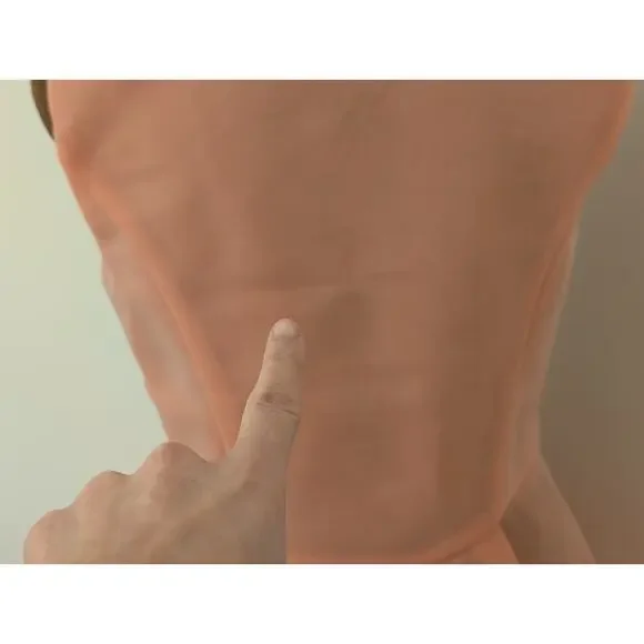 Pinko Italy Peach Coral Pleated Fit & Flare Mini Dress | FITS LIKE US 2-4 - Picture 7 of 13